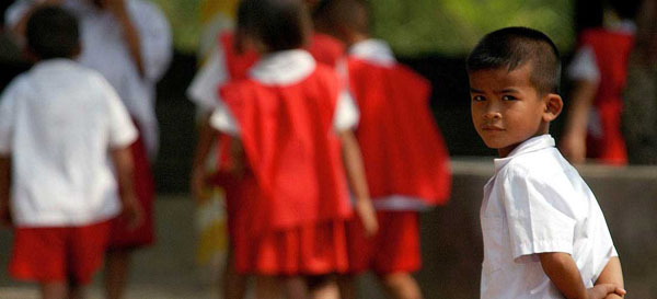 激活服务平台的网页端ddos